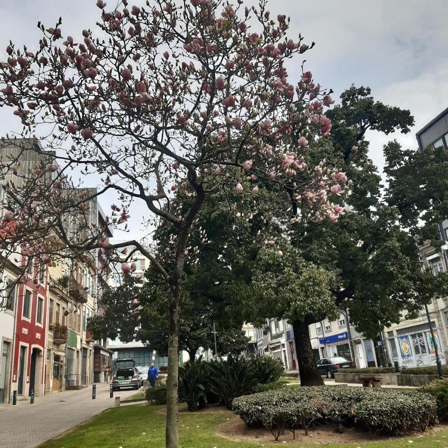 Otf- Porto Centro Διαμέρισμα Εξωτερικό φωτογραφία